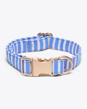 Dog Collar