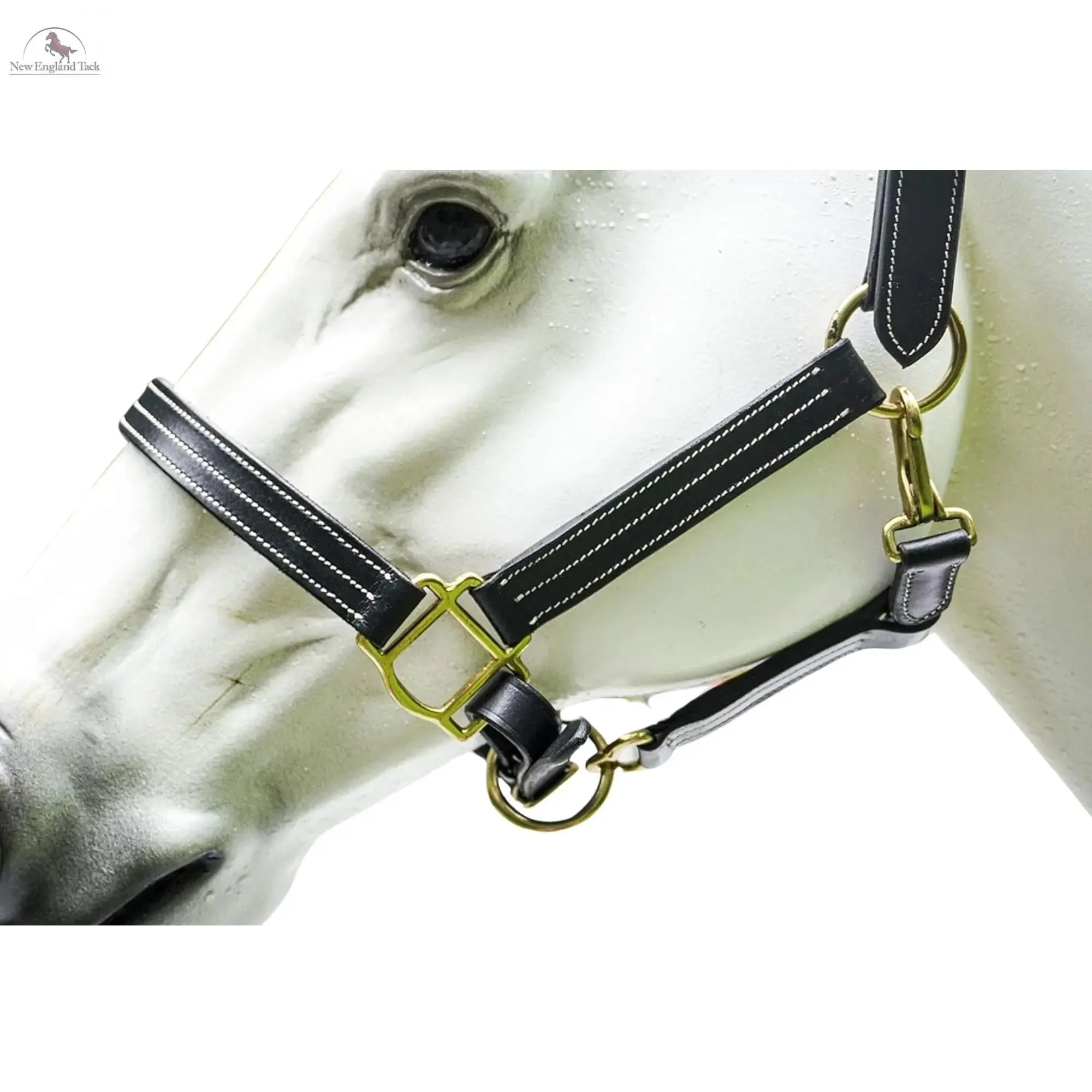 Triple Stitched Halter with Adjustable Chin and Nose Brass Hardware Black Brown Halter